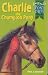 Charlie Champion Pony (Pony Tales)