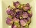 薔薇の蕾(バラのつぼみ)20g