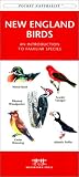 New England Birds (Pocket Naturalist - Waterford Press)