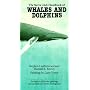 The Sierra Club Handbook of Whales and Dolphins