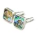 PenSee Rare Stainless Steel & Abalone Shell Square Cufflinks for Men with Gift Box