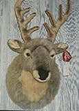 Stuffed Deer