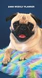 Pugs 2009 Weekly Pocket Planner Calendar