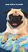 Search : Pugs 2009 Weekly Pocket Planner Calendar