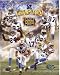 Carolina Panthers Super Bowl 38 8x10 Photo