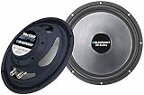 Blaupunkt Thin Series THw1000 10' 4ohm Subwoofer