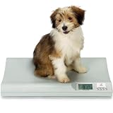 Digital Bird Scale
