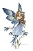Forget Me Not II Amy Brown Faery Print 8.5x11 Fairy ! NEW