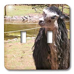 Patricia Sanders Animals - Sweet Black Llama in Peru Travel Animals - Light Switch Covers - double toggle switch