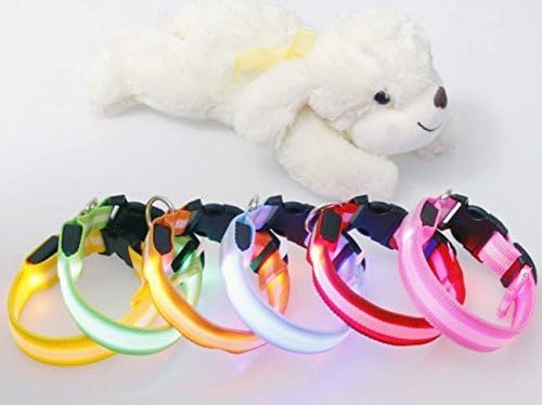 OALY Dog Night Safety Nylon LED Flashing Light Circular Pet Collar Colorful M