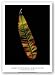 Plate 13 by Christopher Griffith 18x24 Art Print Poster