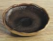 Portabella Mushroom Appetizer Dish Plate by Home Gourmet