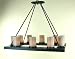 Open Rectangular Chandelier with 10 Shades