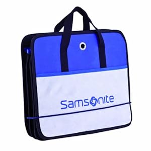 Samsonite Deluxe Car & Trunk Organizer