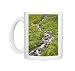 Photo Mugs of Stream through golden aster (Chrysopsis villosa) and other wildflowers, near from Robert Harding