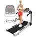 LifeSpan Fitness Pro5 Treadmill