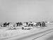 1935 MULE TEAMS MONTGOMERY ALABAMA WALKER EVANS PHOTO