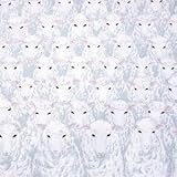YOU and I/羊の群れは丘を登る