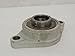 MRC C2F106SS Flange Bearing 1-3/8" ID, 2-Bolt, Thermoplastic