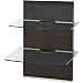OmniMount MWFS Adjustable 2-Shelf Component Wall System with Cable Management - Espresso