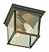 Trans Globe Lighting 4905 BC Outdoor Ansel 6.5" Flushmount Lantern, Black Copper