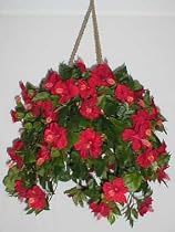 Red Hibiscus Hanging Basket
