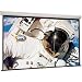 Draper Luma 106IN 16:9 Manual Wall Projection Screen ( 207101 )