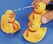 RUBBER DUCKY Squirter Toy