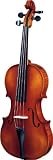 Strunal 260 Series Violin Outfit 1/4 Outfit