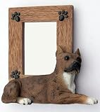 PIT BULL Terrier PITBULL Brindle DOG Sm Photo FRAME Figurine SF28B