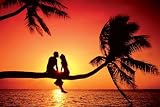 (24x36) Summer Love Couple on Palm Tree Sunset Art Print Poster
