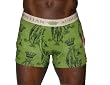 CHRISTIAN AUDIGIER Ed Hardy Mens Boxer Brief Lucky Tattoo Print Underwear