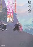 湯宿の賊―はぐれ長屋の用心棒 (双葉文庫)
