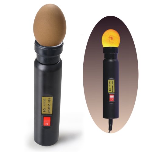 Magicfly Bright Cool LED Light Egg Candler Tester - Incubator Warehouse Exclusive Magicfly Bright Cool LED Light Egg Candler Tester - Incubator Warehouse Exclusive