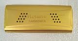 Merano CHA32 C-G Double Sides Harmonica - Golden