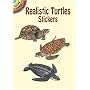 Realistic Turtles Stickers (Dover Little Activity Books)