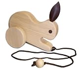 Hopping Bunny Rabbit Pull Toy