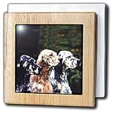Review 3dRose LLC  / English Setter - 6 Inch Tile Napkin Holder