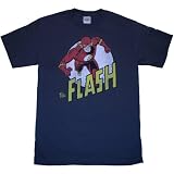 DC COMICS THE FLASH 