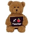 Ty Cool Teacher - A+ Teacher Bear