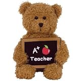 TY COOL TEACHER クマ