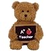 Ty Cool Teacher - A+ Teacher Bear