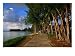Jogger on Beach Road Park Path, Garapan, Northern Mariana Islands Scenic Photographic Poster Print by John Elk III, 24x18