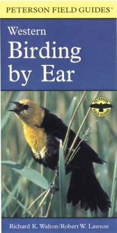 Backyard Birding