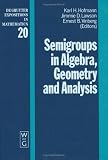Semigroups in Algebra, Geometry and Analysis (De Gruyter Expositions in Mathematics)