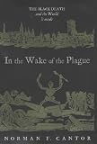 In the Wake of the Plague the Black Death and the World It Made