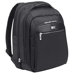 Caselogic 16-Inch Security Friendly Laptop Backpack (CLBS-116 )