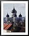 The 19th Century Russian Orthodox Alexander Nevsky Cathedral on Toompea, Old Town, Estonia Architecture Framed Art Poster Print by Christian Kober, 31x39