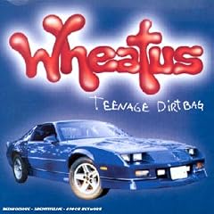 Teenage Dirtbag