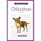 Buy A Chihuahua